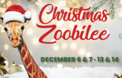 Christmas Zoobilee