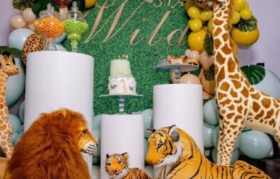 ZK's Party Rentals and Supplies