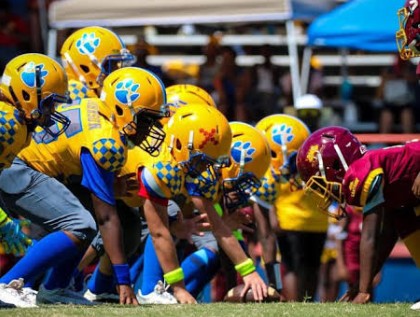 Pensacola Youth Football & Cheerleading-NEP Wildcats