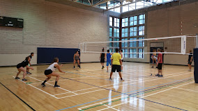 Recreational Youth Basketball Leagues and/or Bootcamps