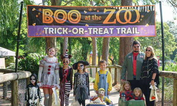 Boo at the Zoo